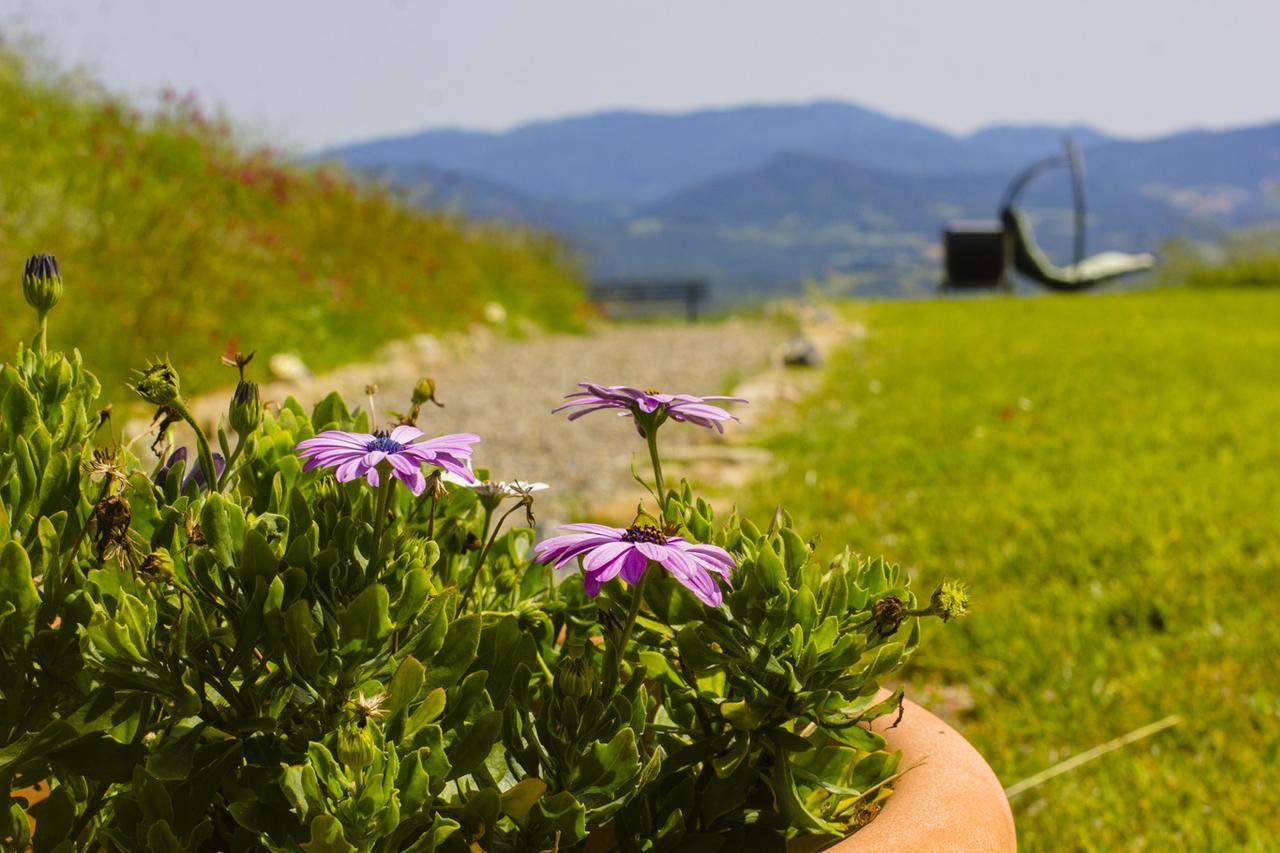 In Canto Sul Poggio Bed & Breakfast Volterra Exterior photo